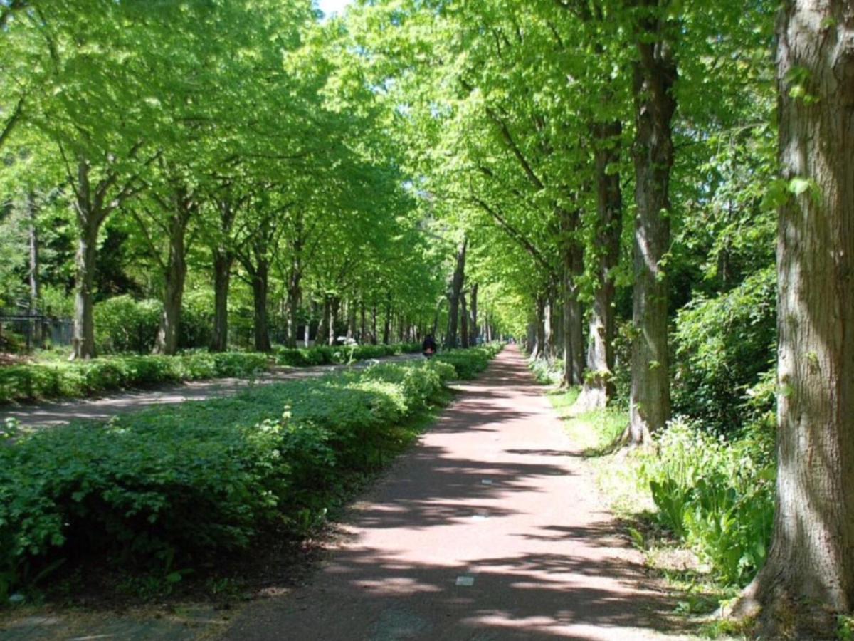Appelbloesem Villa Bergen Kültér fotó